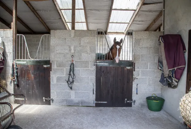 Photo of Blacksmiths Cottage, Fountain, Knockanore, Co Waterford, P51P9W9