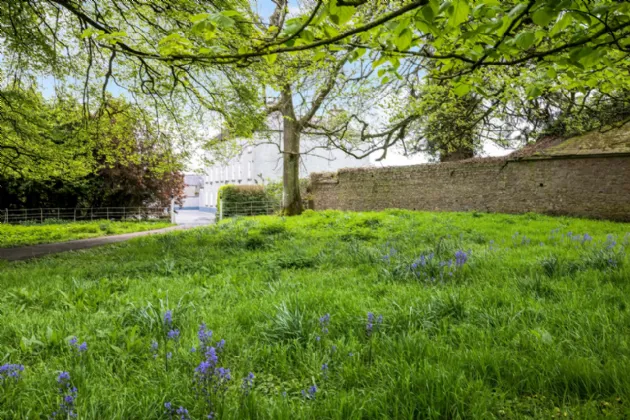 Photo of Monasteroris (Lot 1), Residence On C. 27.8 H (68.8 Acres), Edenderry, County Offaly, R45 X384