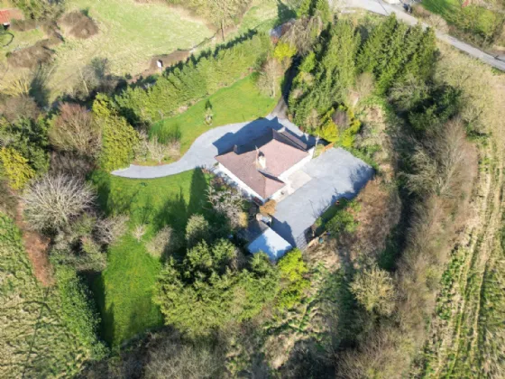 Photo of Detached Bungalow On c. 2 Acres, Galbertstown, Holycross, Thurles, Co. Tipperary, E41 T263