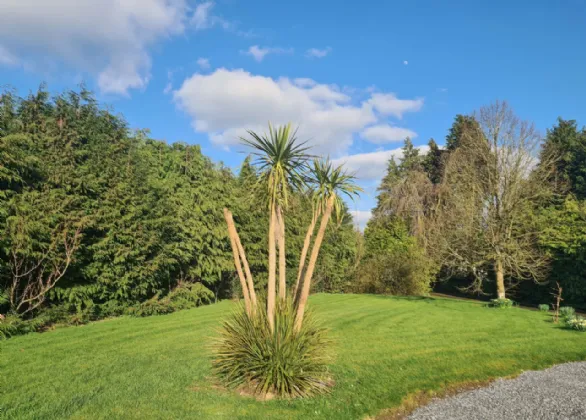 Photo of Detached Bungalow On c. 2 Acres, Galbertstown, Holycross, Thurles, Co. Tipperary, E41 T263