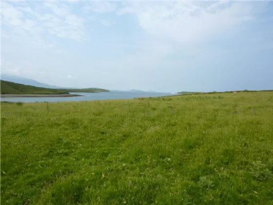 Photo of Agricultural Land, Collanmore Island, Westport, Co Mayo