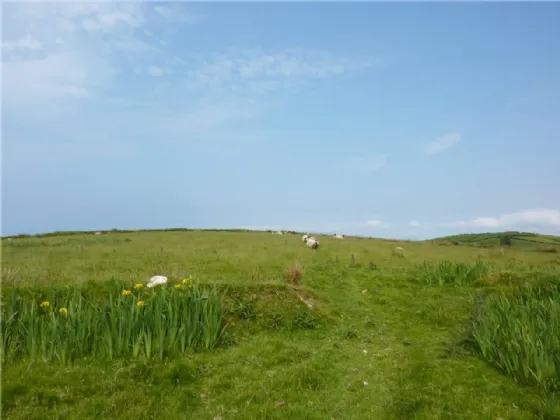 Photo of Agricultural Land, Collanmore Island, Westport, Co Mayo