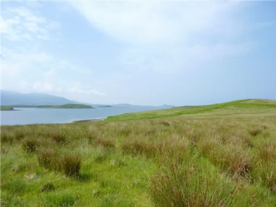 Photo of Agricultural Land, Collanmore Island, Westport, Co Mayo