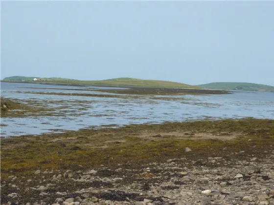 Photo of Agricultural Land, Collanmore Island, Westport, Co Mayo