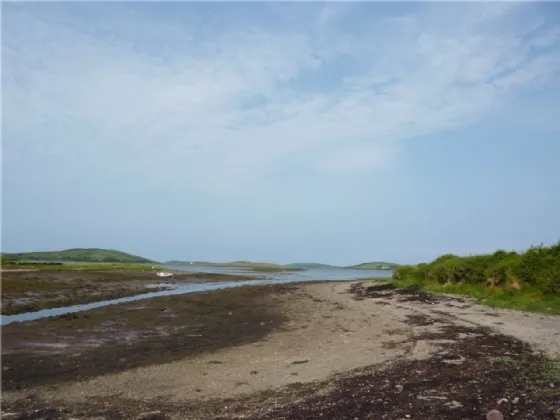 Photo of Agricultural Land, Collanmore Island, Westport, Co Mayo