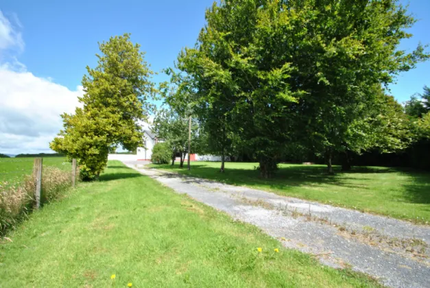 Photo of Ballytarsna, Pike Of Rushall, Borris In Ossory, Co. Laois, R32 X4F4