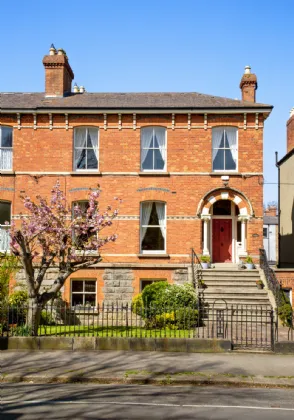 Photo of Thaddeus, 19 Northbrook Road, Ranelagh, Dublin 6