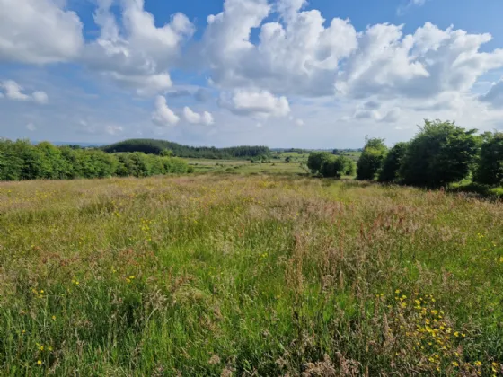 Photo of Lisduff, Kiltimagh, Co Mayo