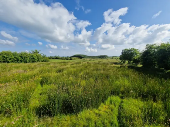 Photo of Lisduff, Kiltimagh, Co Mayo