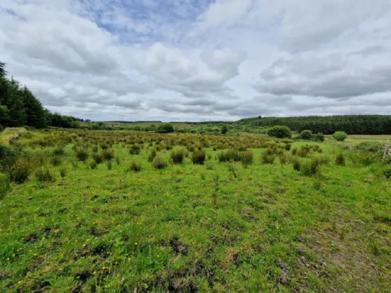 Photo of Derrynaleck, Swinford, Co Mayo, F35E510