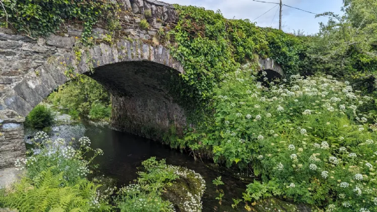 Photo of Castle Donovan, Drimoleague, Co. Cork