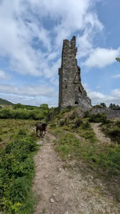 Photo of Castle Donovan, Drimoleague, Co. Cork