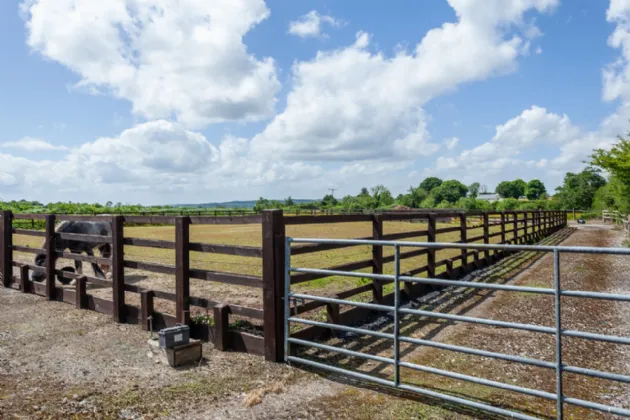 Photo of Uskerty (On 5 Acres), Coon, (Via Carlow), Co. Kilkenny, R93 H9E2