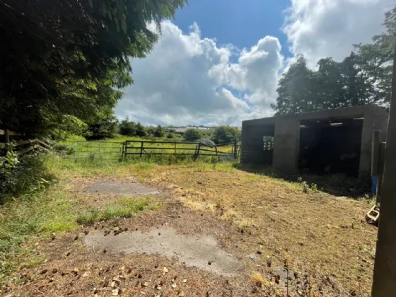 Photo of 7.19 Acres With Cottage, Sheeroe, Westport, Co Mayo, F28 XE24