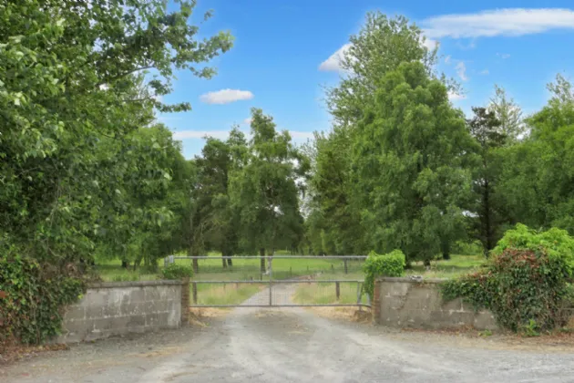 Photo of C.31 Acre Roadside Holding, Ardmore & Killaree, Charleville, Co. Cork