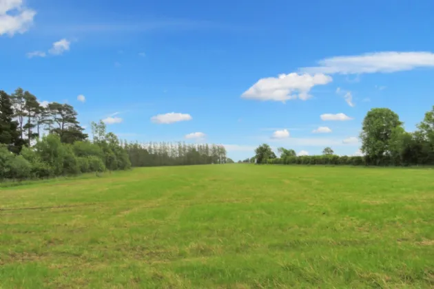 Photo of C.31 Acre Roadside Holding, Ardmore & Killaree, Charleville, Co. Cork