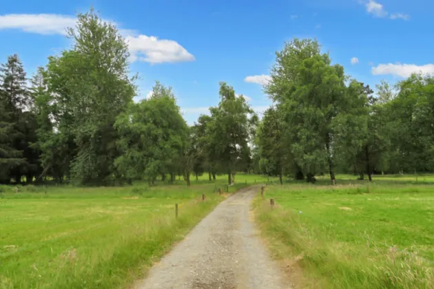 Photo of C.31 Acre Roadside Holding, Ardmore & Killaree, Charleville, Co. Cork