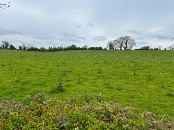 Photo of Lot 2, Streamstown, Castlepollard, Co Westmeath, N91C578