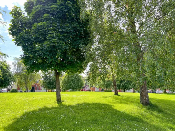 Photo of 15 Hazelwood, Dublin Road, Thurles, Co. Tipperary, E41 T1D2