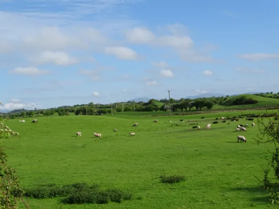 Photo of Knockrooskey, Westport, Co Mayo