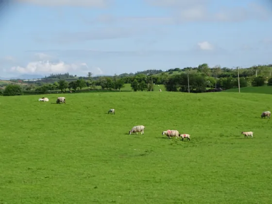 Photo of Knockrooskey, Westport, Co Mayo