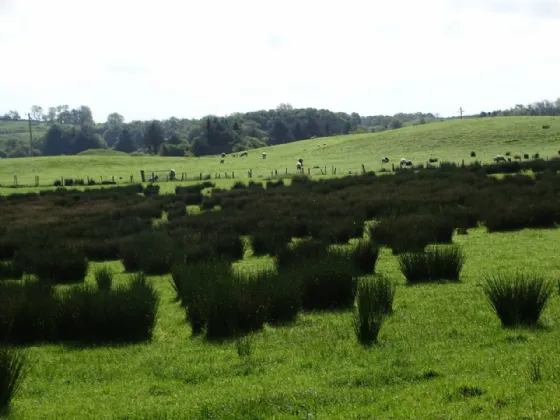 Photo of Knockrooskey, Westport, Co Mayo