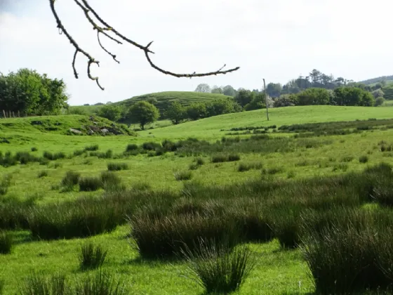 Photo of Knockrooskey, Westport, Co Mayo