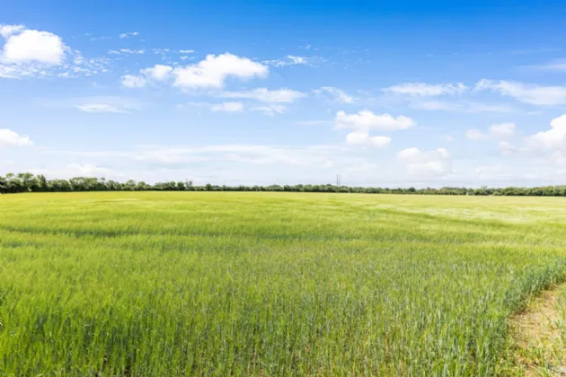 Photo of Lands At Coolfore, Approx. 39 Acres / 15.78 Hectares, Coolfore, Ashbourne, Co. Meath