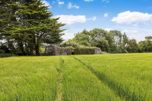 Photo of Lands At Coolfore, Approx. 39 Acres / 15.78 Hectares, Coolfore, Ashbourne, Co. Meath