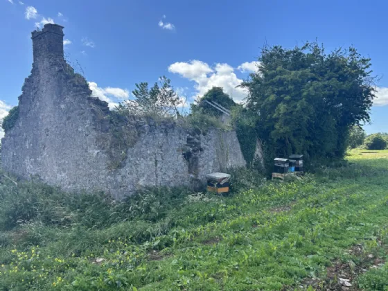 Photo of Non Residential Farm Holding, Park North, Doneraile, Co. Cork