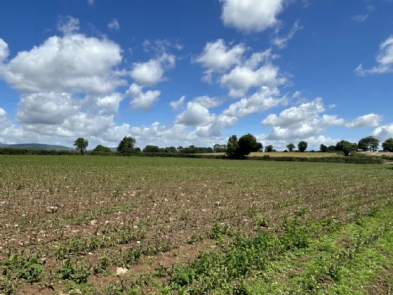 Photo of Non Residential Farm Holding, Park North, Doneraile, Co. Cork