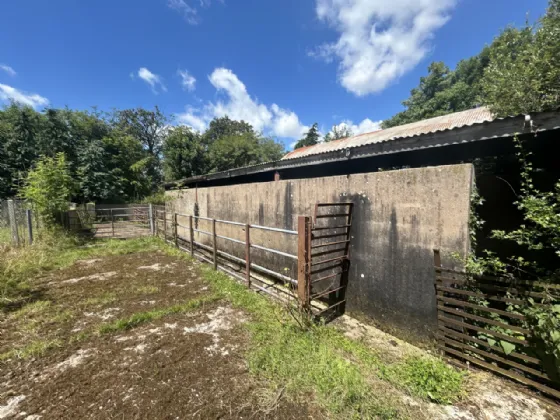 Photo of Non Residential Farm Holding, Park North, Doneraile, Co. Cork