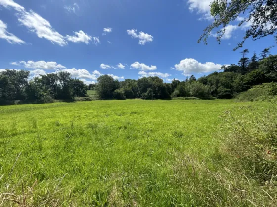 Photo of Non Residential Farm Holding, Park North, Doneraile, Co. Cork