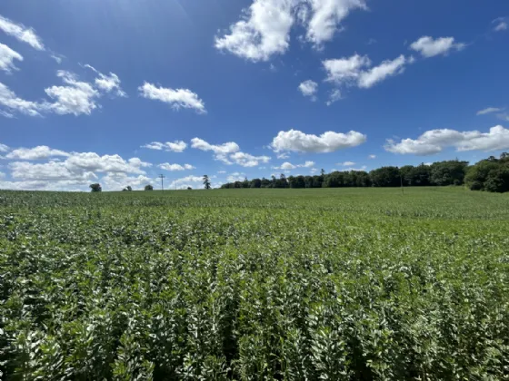 Photo of Non Residential Farm Holding, Park North, Doneraile, Co. Cork