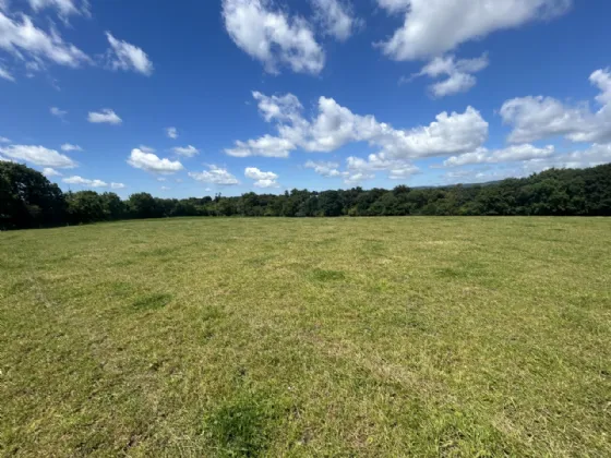 Photo of Non Residential Farm Holding, Park North, Doneraile, Co. Cork