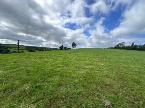 Photo of Lands At Dernacoo,, Emyvale,, Co. Monaghan