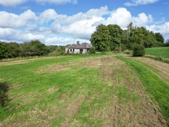 Photo of Mill Road, Ballinunty, Thurles, Co.Tipperary