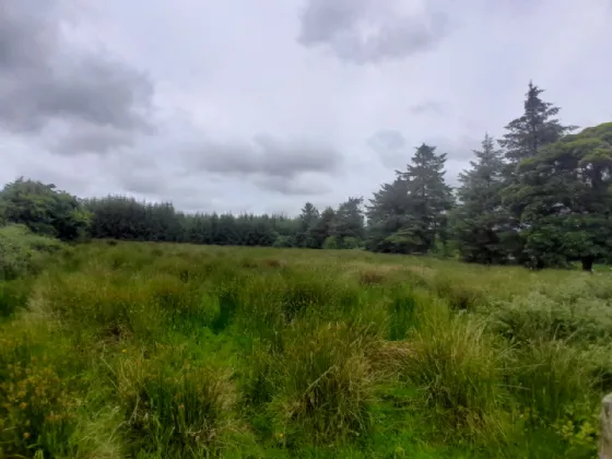 Photo of Toorard, Killasser, Swinford, Co. Mayo