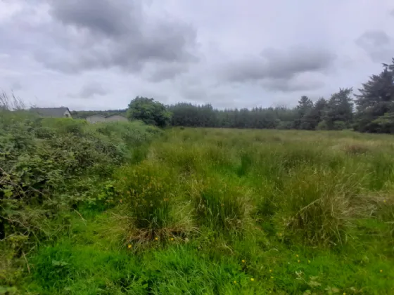 Photo of Toorard, Killasser, Swinford, Co. Mayo