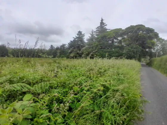 Photo of Toorard, Killasser, Swinford, Co. Mayo