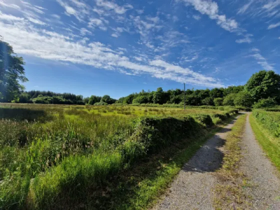 Photo of Carrowmoremoy, Killasser, Swinford, Co Mayo