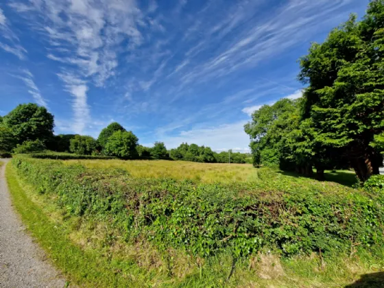 Photo of Carrowmoremoy, Killasser, Swinford, Co Mayo