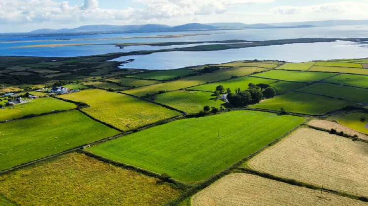 Photo of 4.7 Acres At Ballynacloghy, Maree, Oranmore, Co. Galway