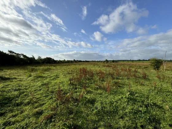 Photo of Scardaune, Claremorris, Co Mayo