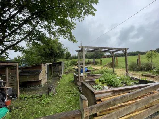 Photo of Cushalogurt, Kilmeena, Westport, Co Mayo, F28 AY64