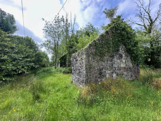 Photo of Bragan,, Knockatallan,, Co. Monaghan