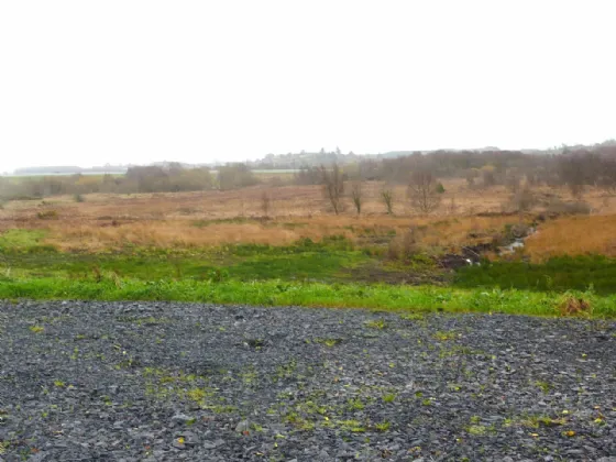 Photo of 10.85 Acres Agricultural Land, Ballymacrah, Castlebar, Co Mayo