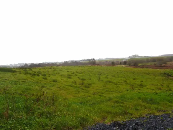 Photo of 10.85 Acres Agricultural Land, Ballymacrah, Castlebar, Co Mayo