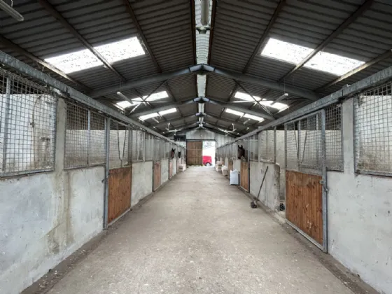 Photo of Mocklershill Stables, Mocklershill, Cashel, Co Tipperary