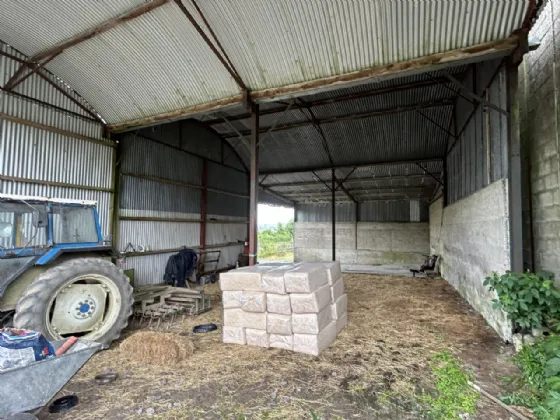 Photo of Mocklershill Stables, Mocklershill, Cashel, Co Tipperary